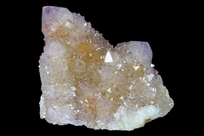 Cactus Quartz (Amethyst) Crystal Cluster - South Africa #137788